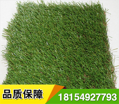 足球場人造草坪施工前瀝青基礎(chǔ)平整度:基礎(chǔ)應(yīng)具有一定的強度和穩(wěn)定性,基礎(chǔ)不能產(chǎn)品裂縫和由于冰凍引起的不均勻凍脹,平整度合格率在95%以上,3米直尺誤差3mm.
